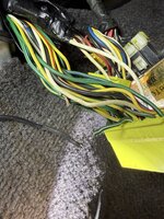 IMG_1248.jpeg
