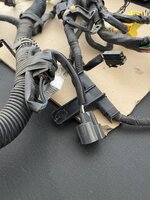 IMG_9412.jpeg