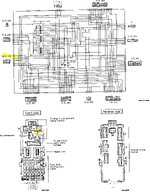 IMG_9420.jpeg