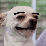 1778028578091.gif