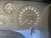 IMG_8202.jpeg