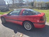 IMG_8196.jpeg