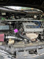 IMG_6310.jpeg