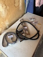 IMG_0161.jpeg