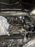 IMG_0568.jpeg