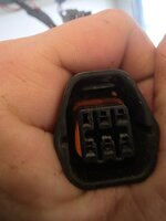 20260510_121552.jpg