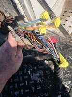 20260508_174358.jpg