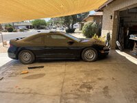 IMG_8871.jpeg