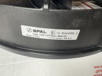 IMG_5563.jpeg