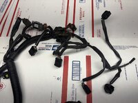 IMG_5569.jpeg