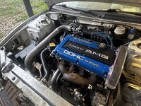 IMG_4310.jpeg