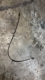 IMG_3131.jpeg