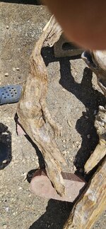 20260510_123823.jpg