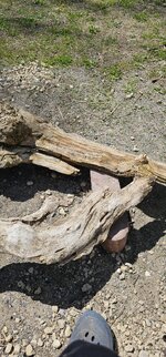20260510_115224.jpg