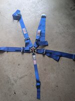 G-force 5 point harness