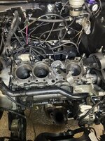 IMG_0600.jpeg