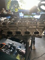 IMG_0609.jpeg