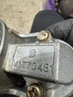 IMG_7256.jpeg