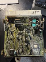 IMG_0584.jpeg