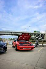 IMG_2974.jpeg