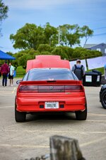 IMG_2986.jpeg