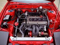 IMG_2878.jpeg