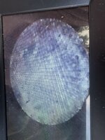 IMG_1719.jpeg