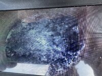 IMG_1723.jpeg
