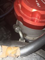 IMG_3104.jpeg