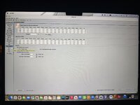 IMG_6825.jpeg