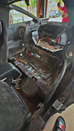 IMG_2963.jpeg