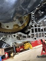IMG_0210.jpeg