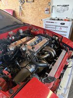 IMG_0203.jpeg