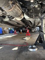 IMG_0258.jpeg