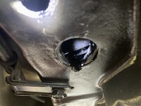 IMG_1575.jpeg