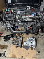 IMG_4230.jpeg