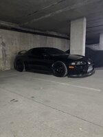 IMG_4247.jpeg