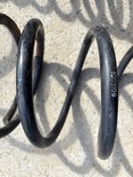 IMG_7267.jpeg