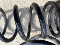 IMG_7269.jpeg