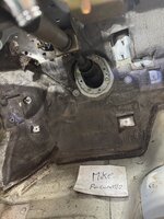 IMG_7371.jpeg