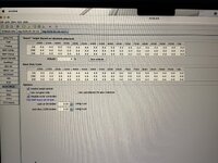 IMG_7107.jpeg