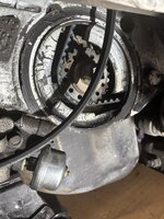 IMG_4279.jpeg