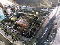 IMG_20260603_090437.jpg