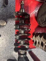 IMG_9697.jpeg