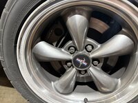 IMG_6283.jpeg