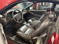 IMG_6284.jpeg