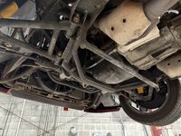 IMG_6288.jpeg