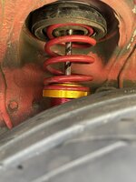 IMG_7270.jpeg