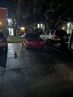 IMG_2341.jpeg