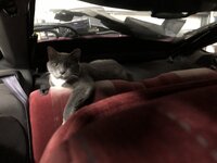 IMG_0094.jpeg